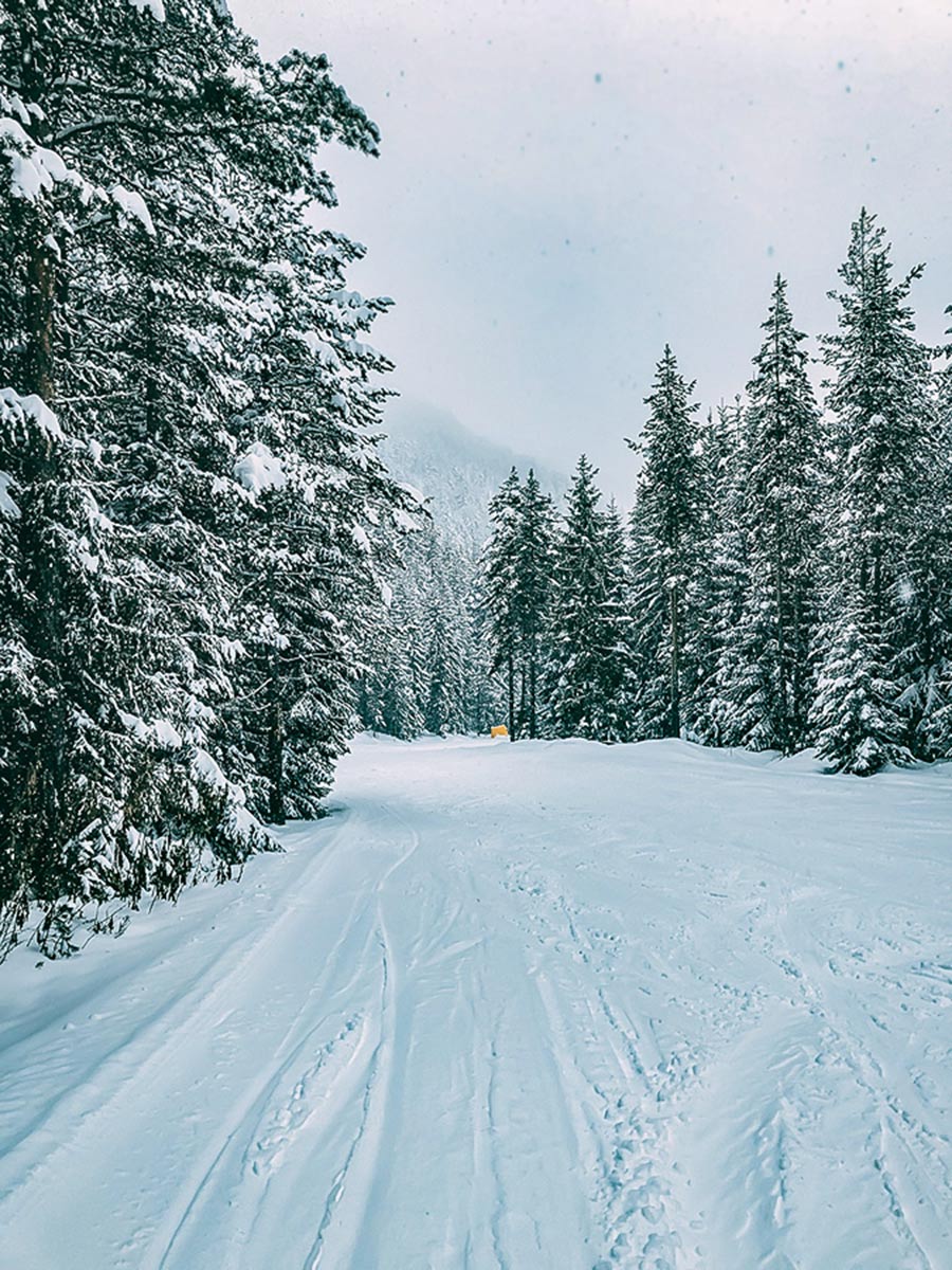 Wide snowy trails near Bansko seen on Ski Adventure in Bulgarias Mountains