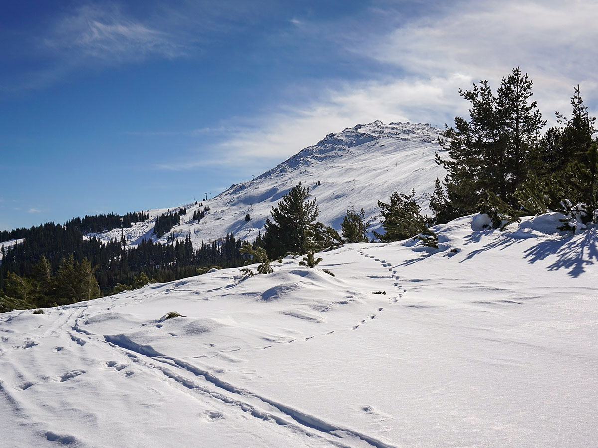 Stock image od skiing in Bulgaria