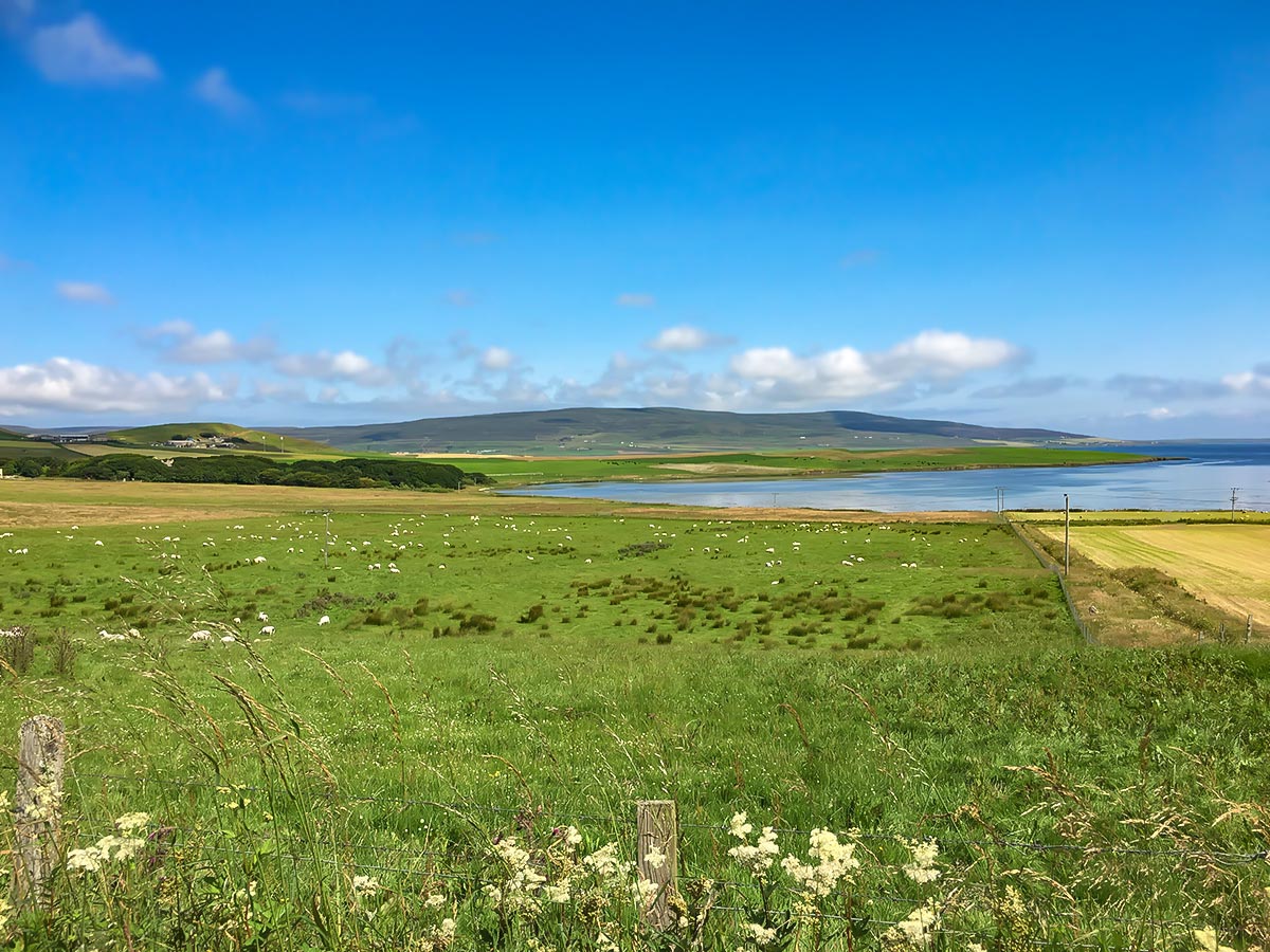 Beautiful green fields near Orkney at North Highland Way in Scotland