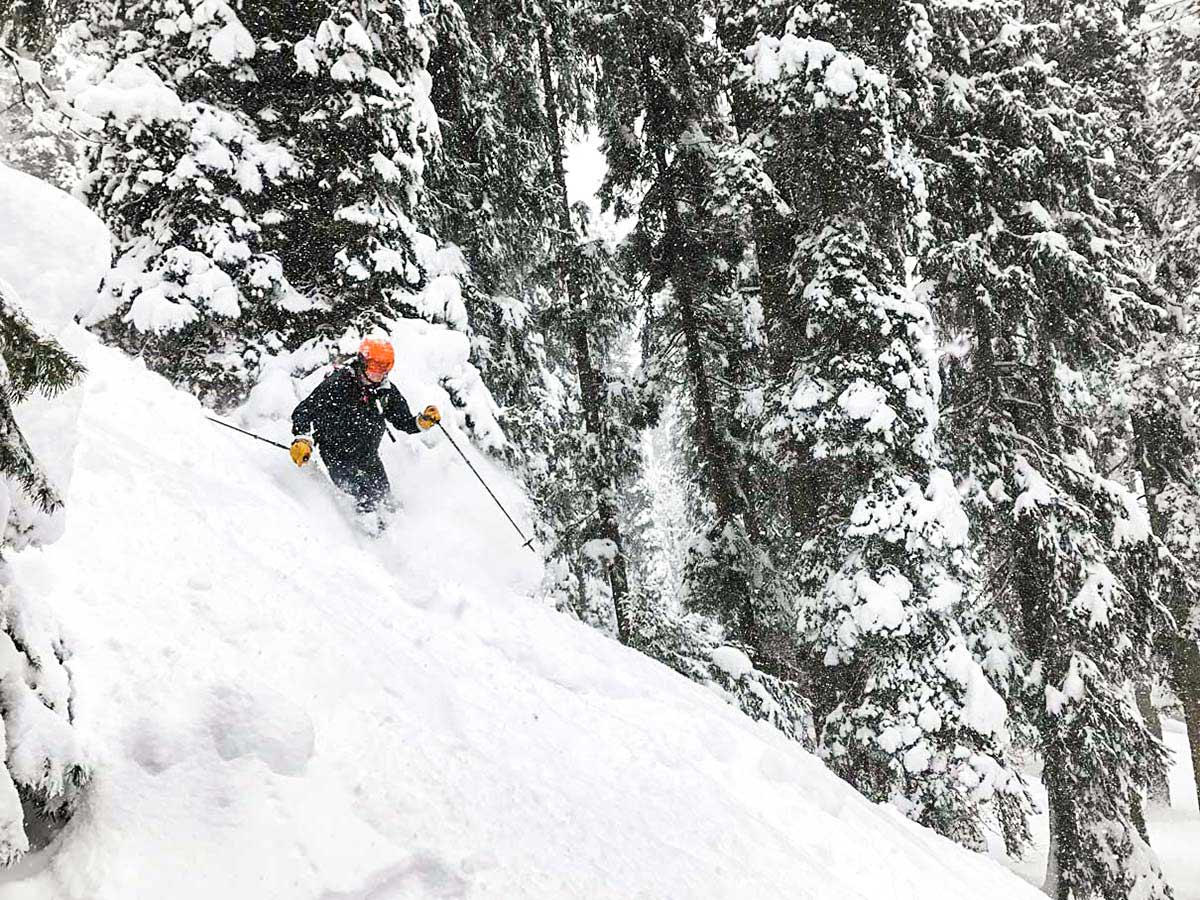 Snowy slopes of the Canadian Rocky Mountains, visited on a guided skiing trip in Banff