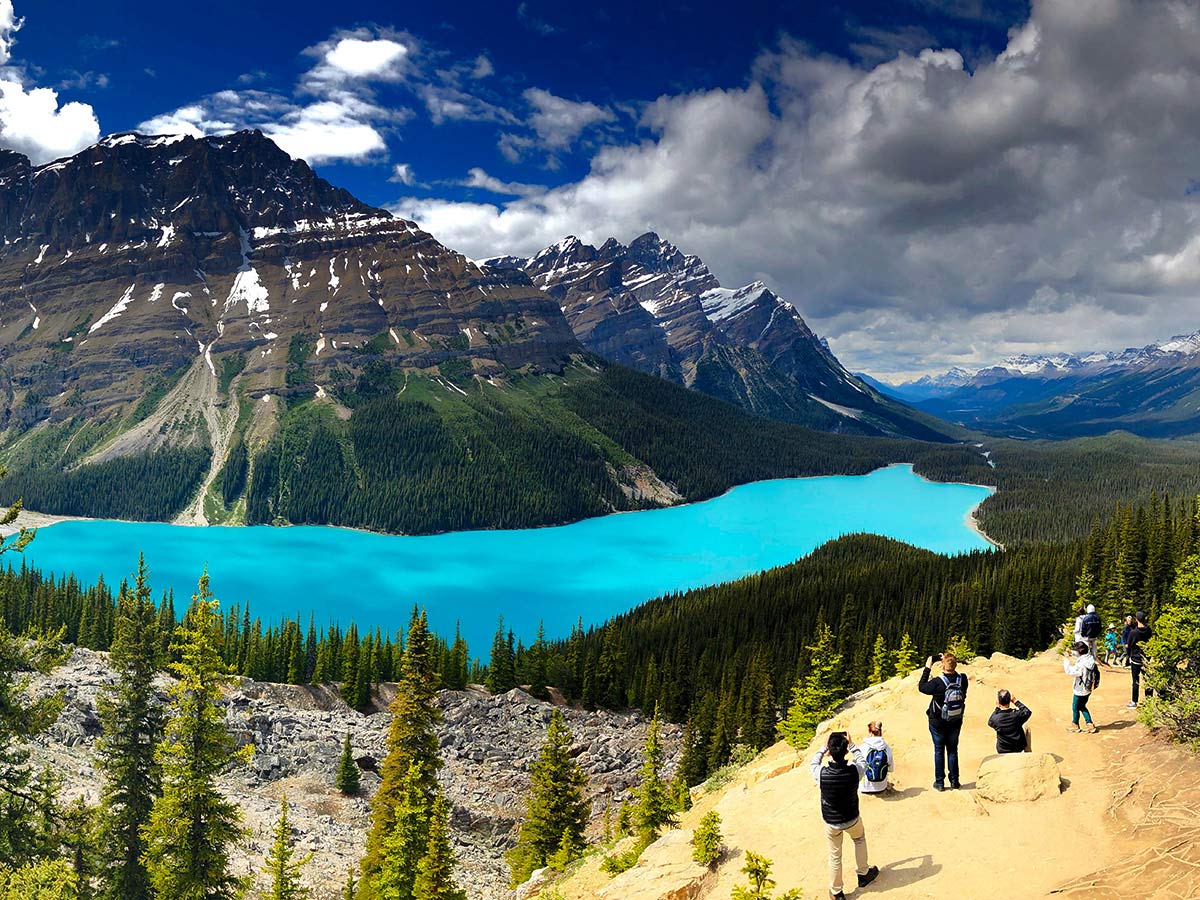 Panoramic views of the Peyto Lake, seen on a guided hiking tour to the Canadian Rockies