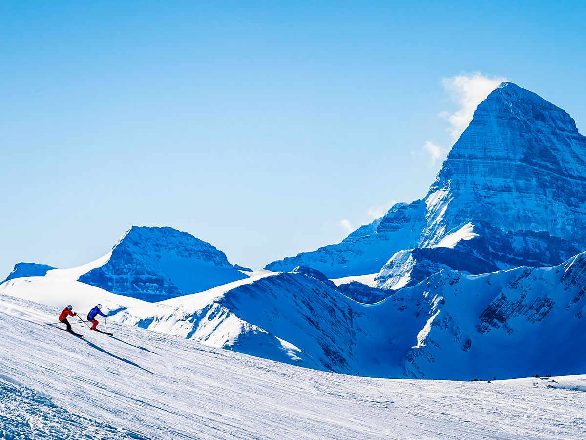 Mountain views and group of skiers in British Columbia, seen on a guided ski tour