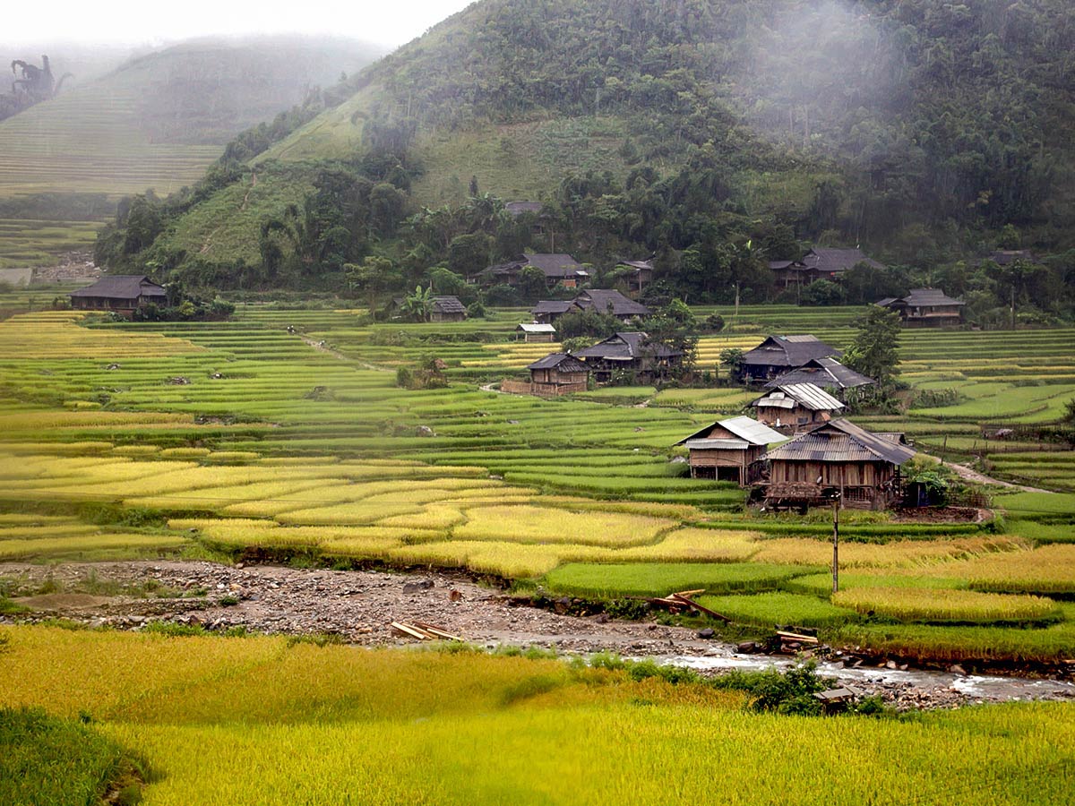 Rice field in Mai Chau seen on Vietnam Active Adventure Tour