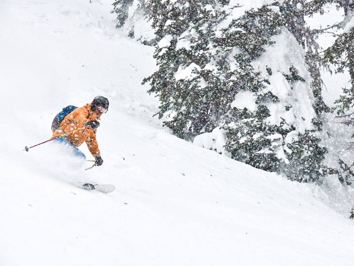 Downhill skiing in the British Columbian Mountain Resort