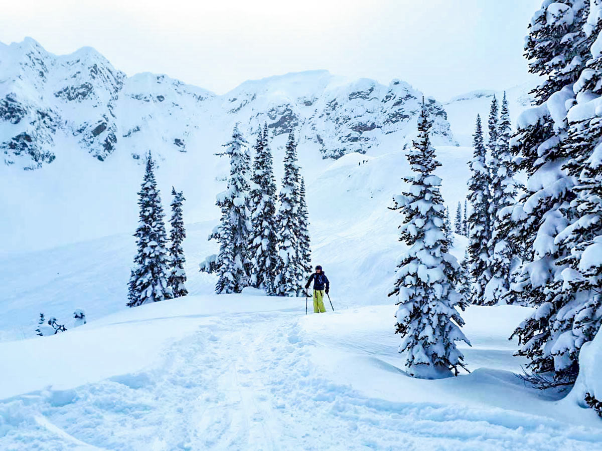 Great slopes in British Columbia on a guided skiing trip