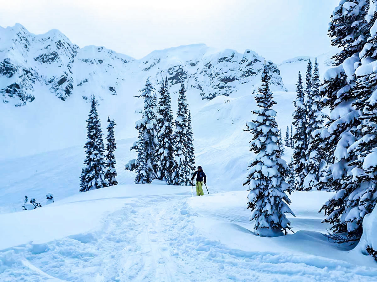 Powedery snow on Rocky Mountain ski trip around Banff Lake Louise Golden and Fernie