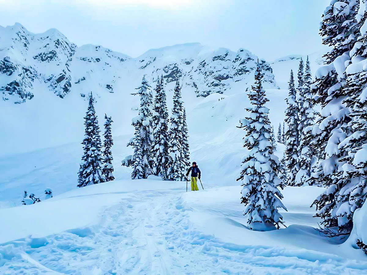 Snowy slopes of the Backcountry Ski Tour in Canada