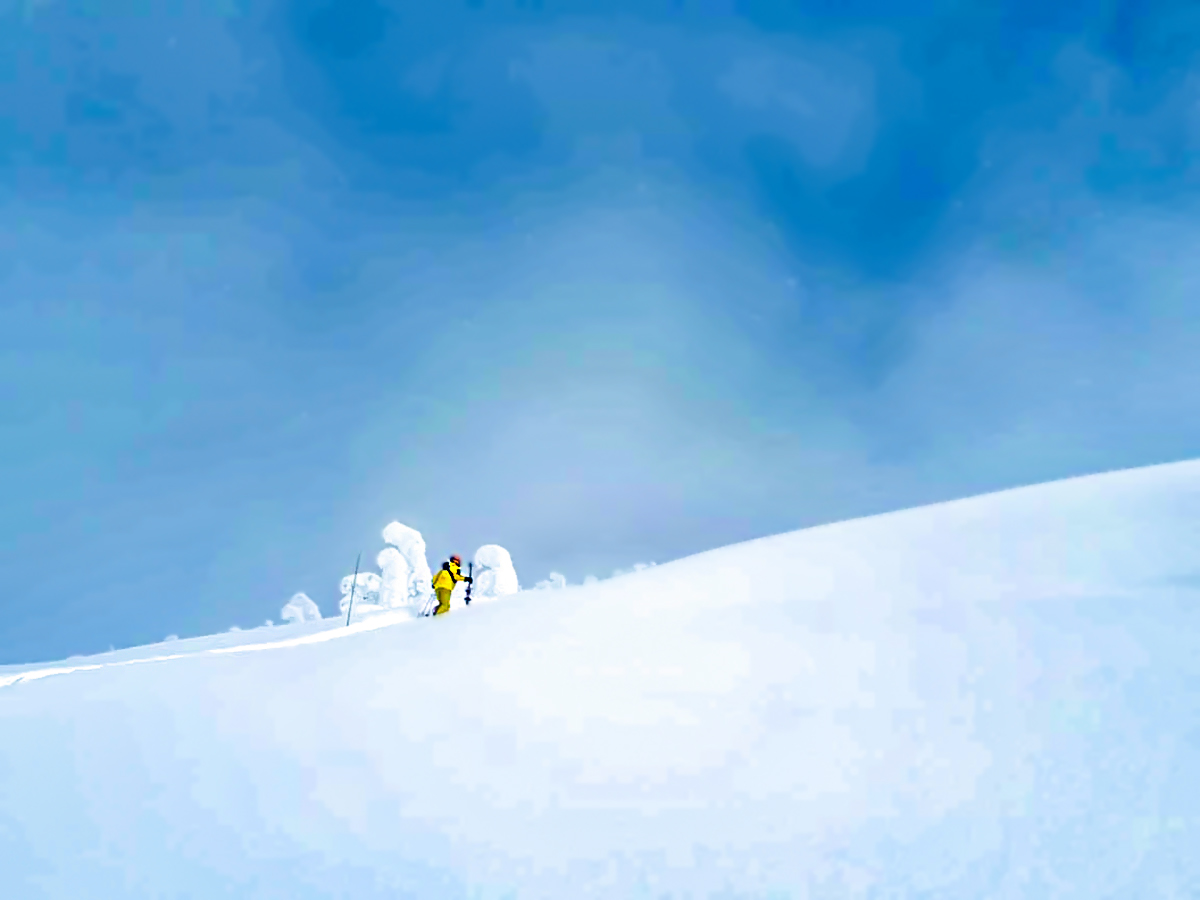 Powdery snow near Nelson in Canadian Rocky Mountains