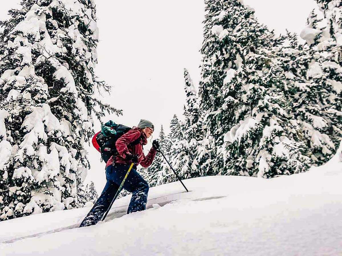 Hiking up on Backcountry Ski Tour in Canada with a guide