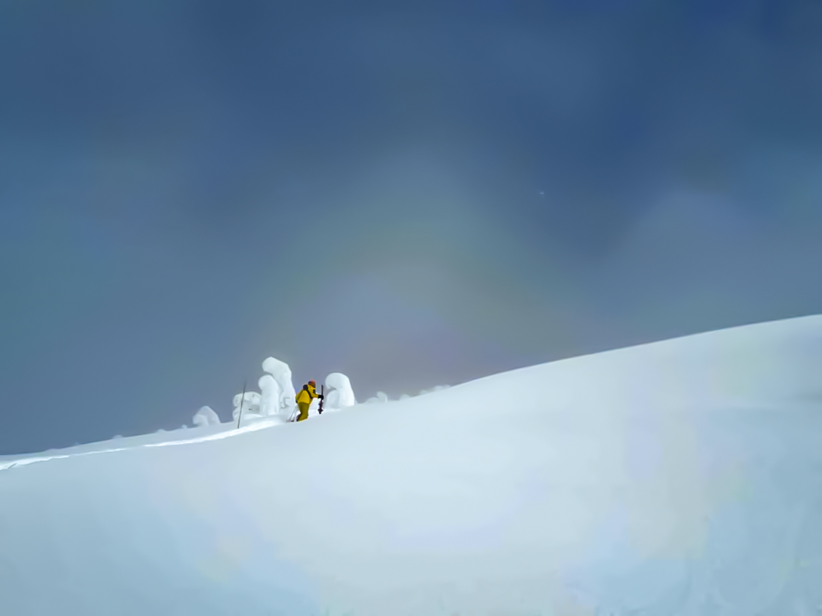 Expansive snowy slopes on ski tour in the Canadian Rocky Mountains