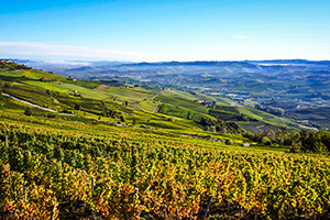 Barolo Barbaresca Self-guided Barolo and Barbaresco walk in Italy