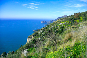 Amalfi+Capri