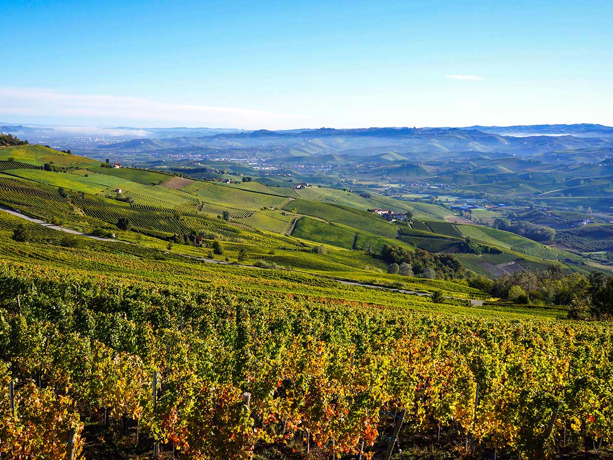 Explore the Barolo region on self guided road biking tour