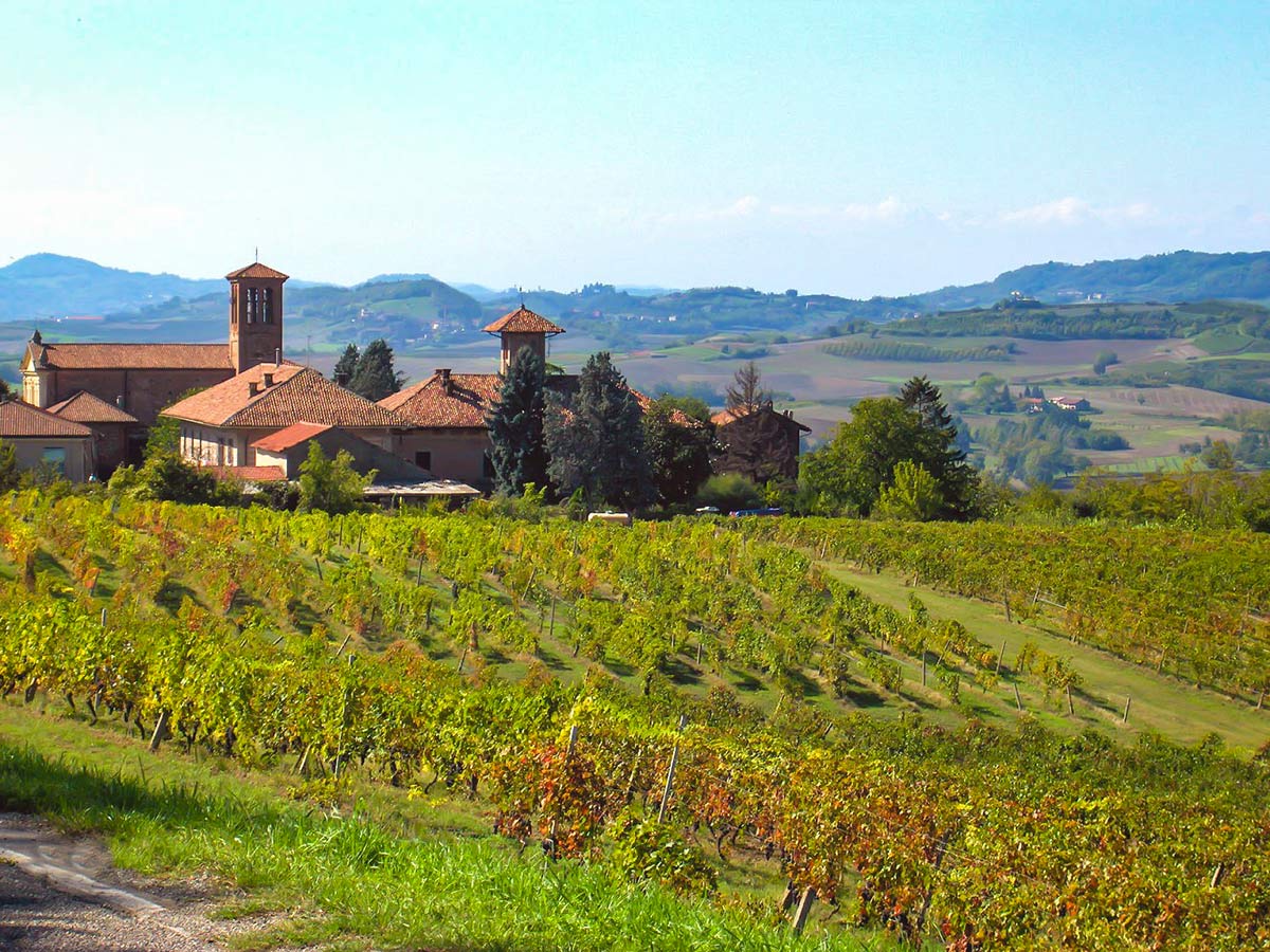 Barolo countryside seen on self guided road biking tour in Italy