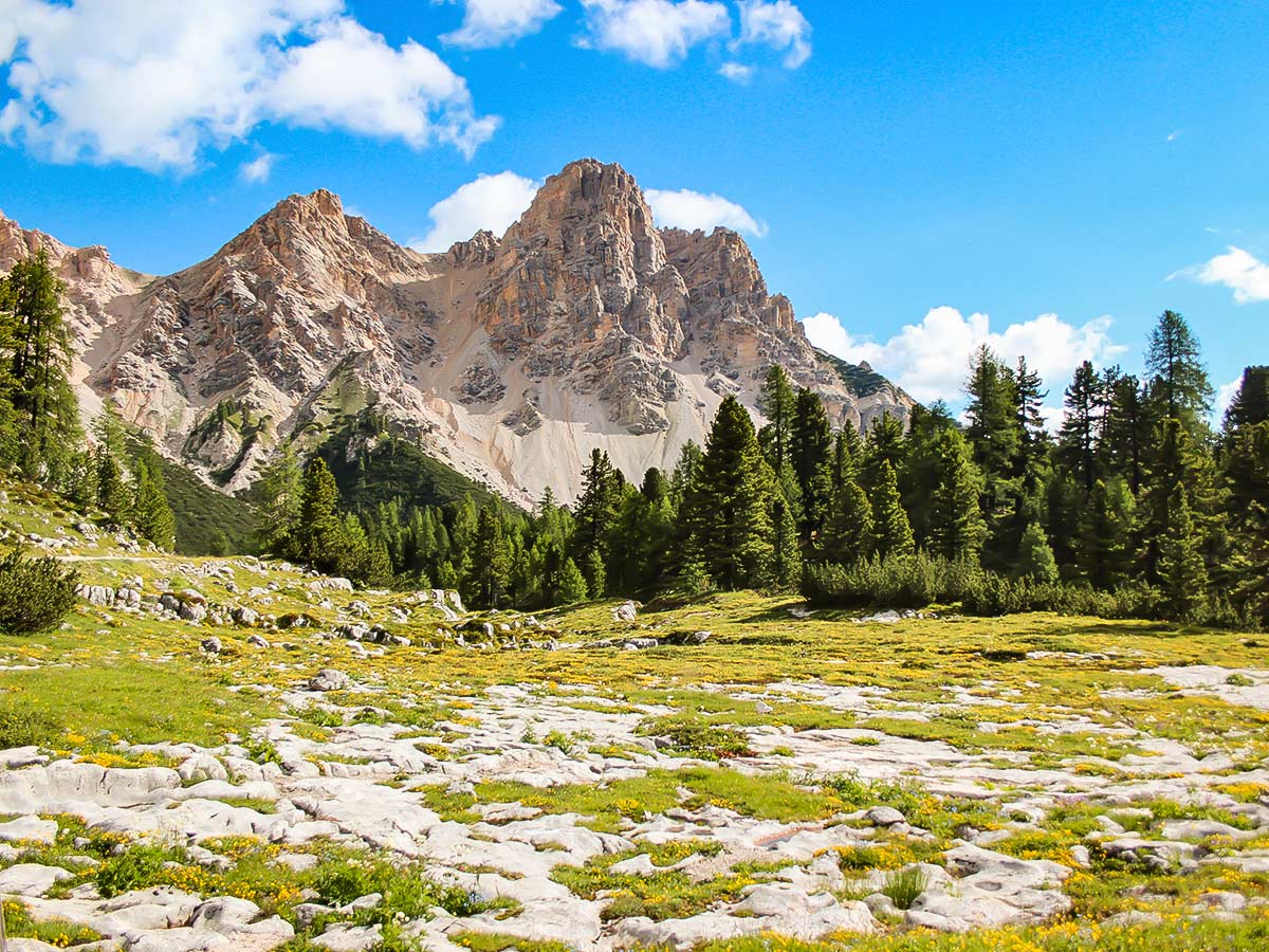 Peaks in the Dolomite Alps South Tyrol Italy