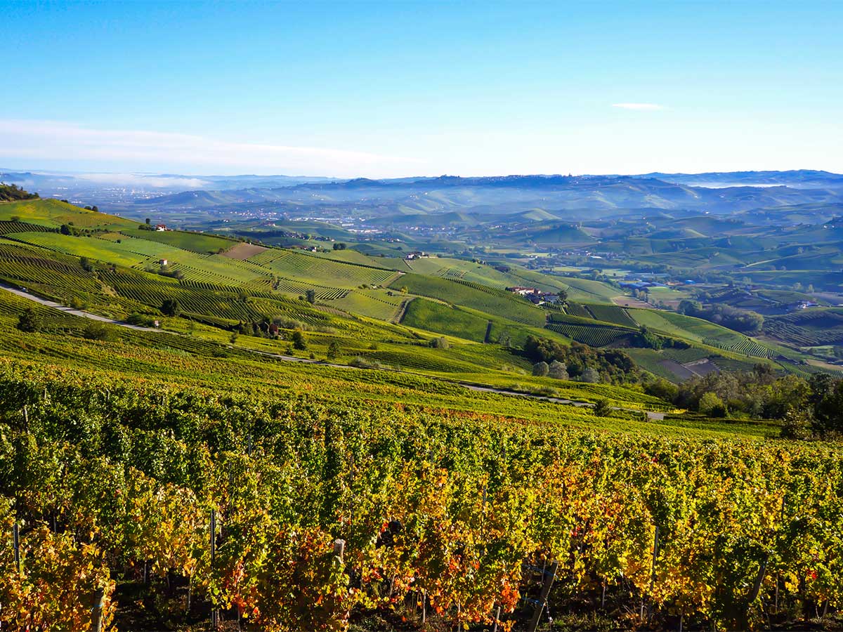 Cuneo countryside views seen on self guided Barolo and Barbera walk