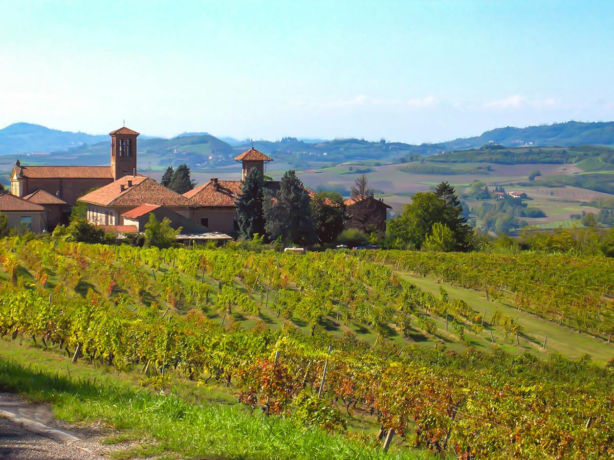 Italian vineyards seen along the Barolo and Barbera walk in Cuneo