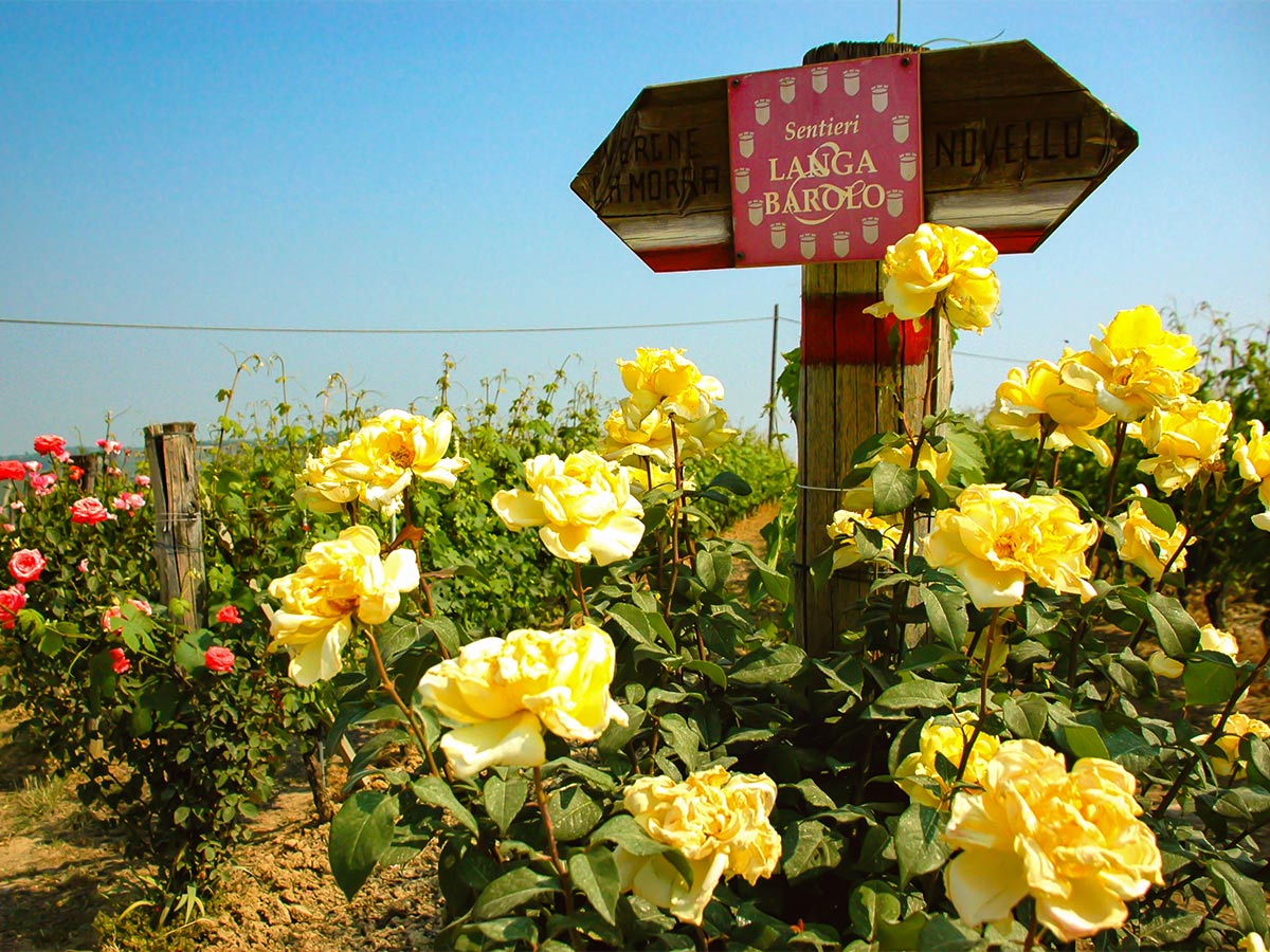 Route signage along the path in Barolo and Barbera Italy