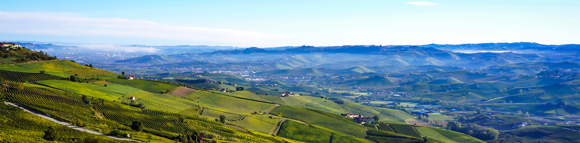 Barolo Barbera