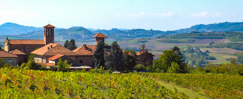 Barolo Barbera