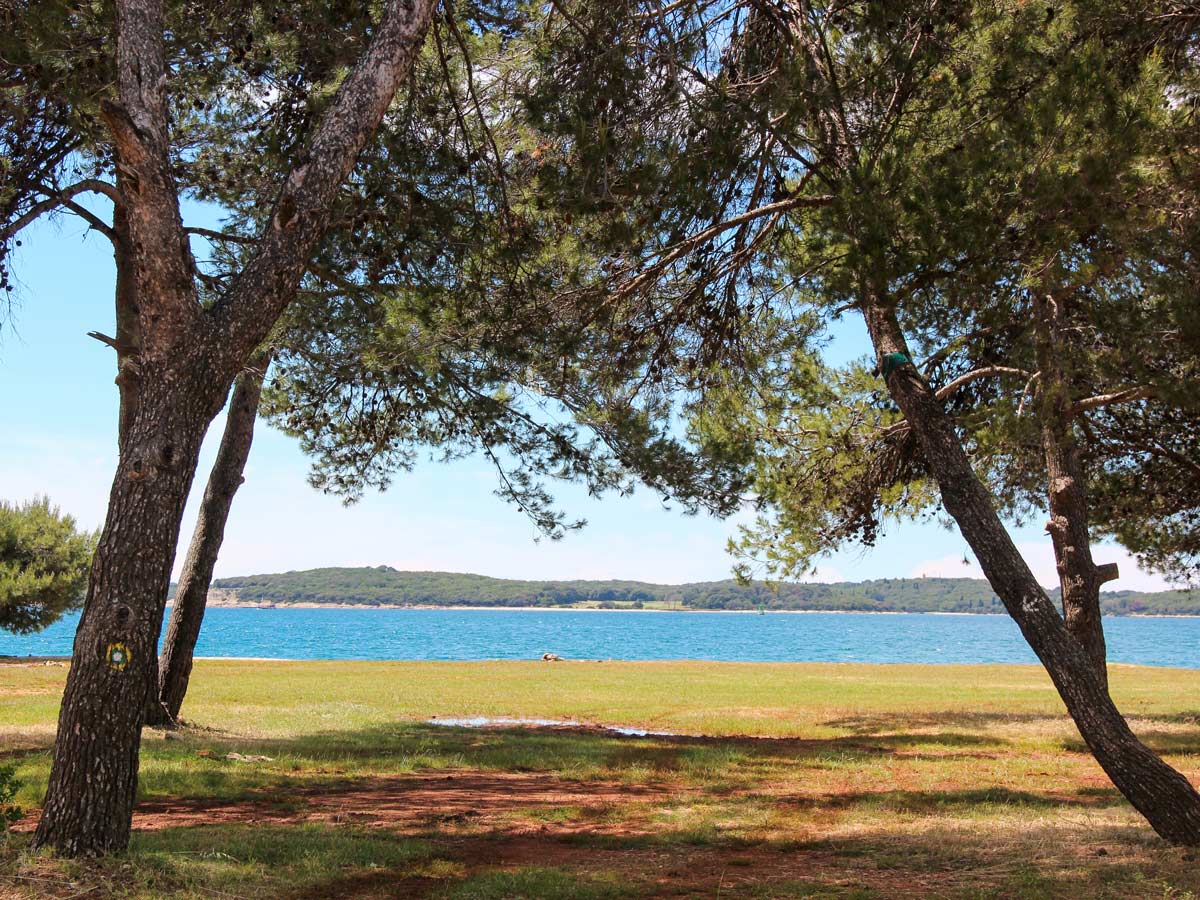 Shade under the trees near Adriatic coast on self guided bike ride in Italy and Croatia