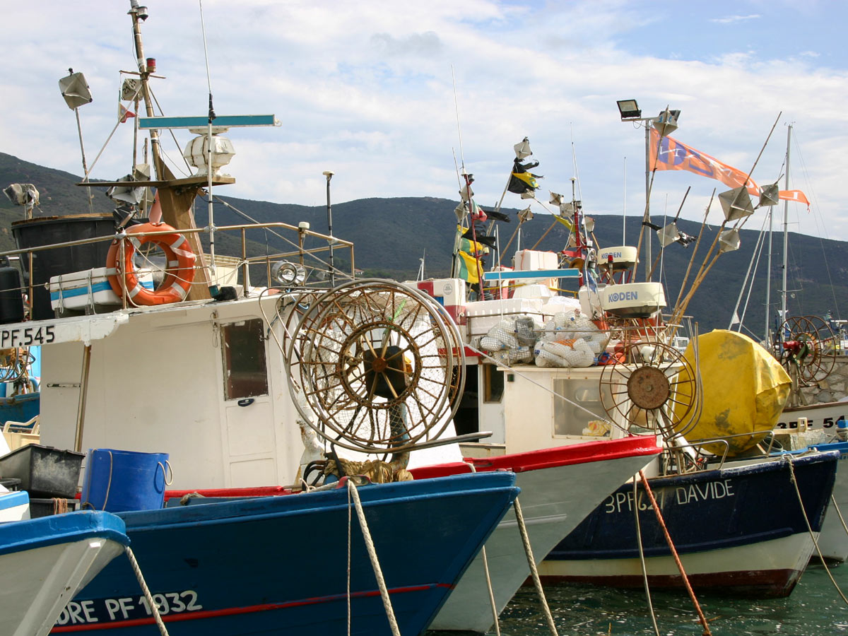 Ships in the marina in Elba Island