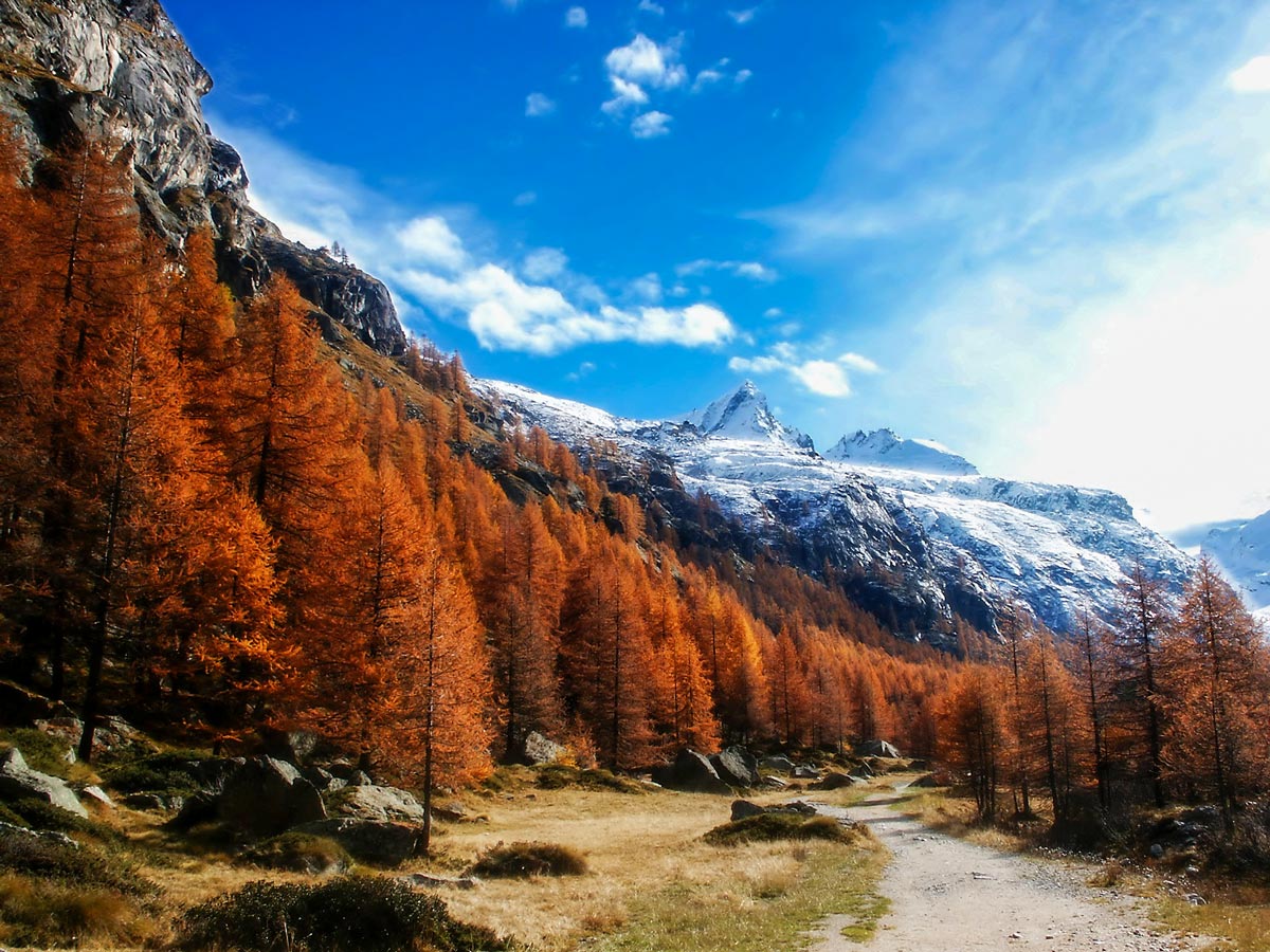 Gran Paradiso views in Autumn