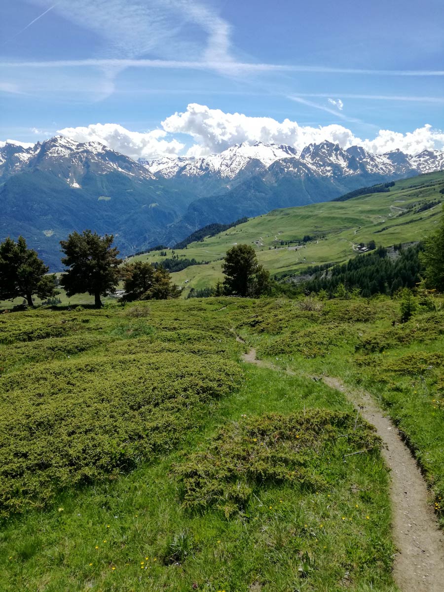 Beautiful trail in the mountains Self guided Aosta Valley Hiking Tour Italy