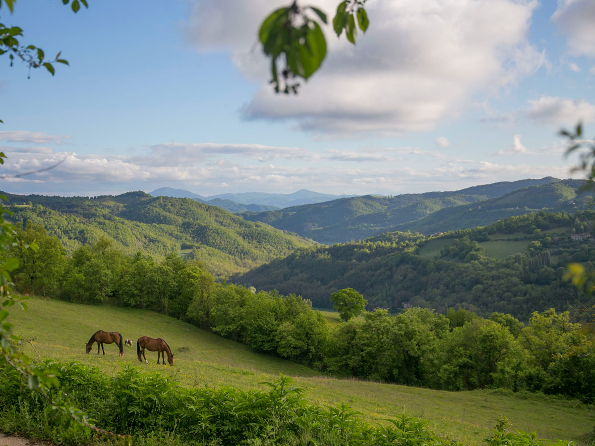 Overlooking the meadows from the St Francis way path from Assisi to Spoleto