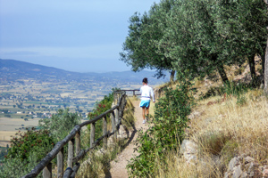 Assisi Spoleto