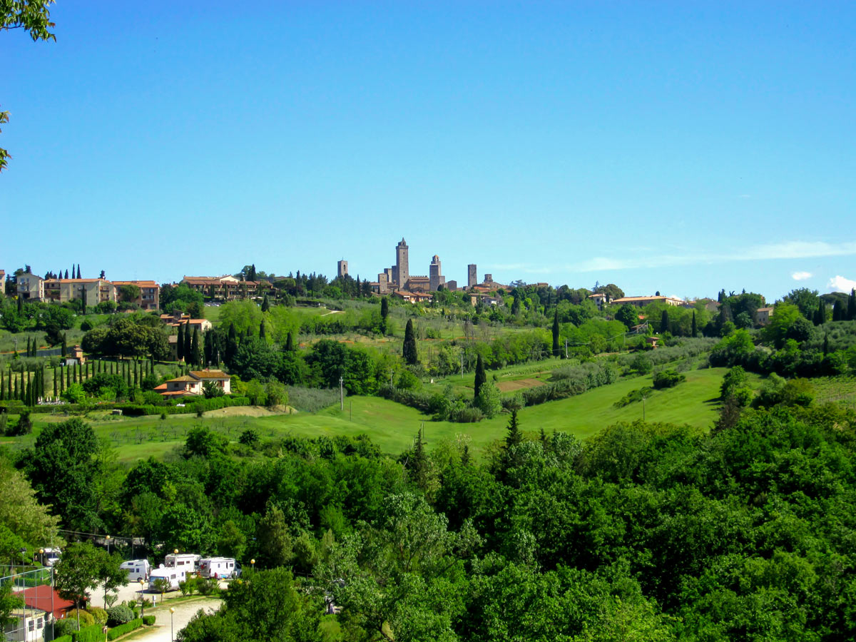 Green vineyards between Florence and Siena seen on self guided walking tour