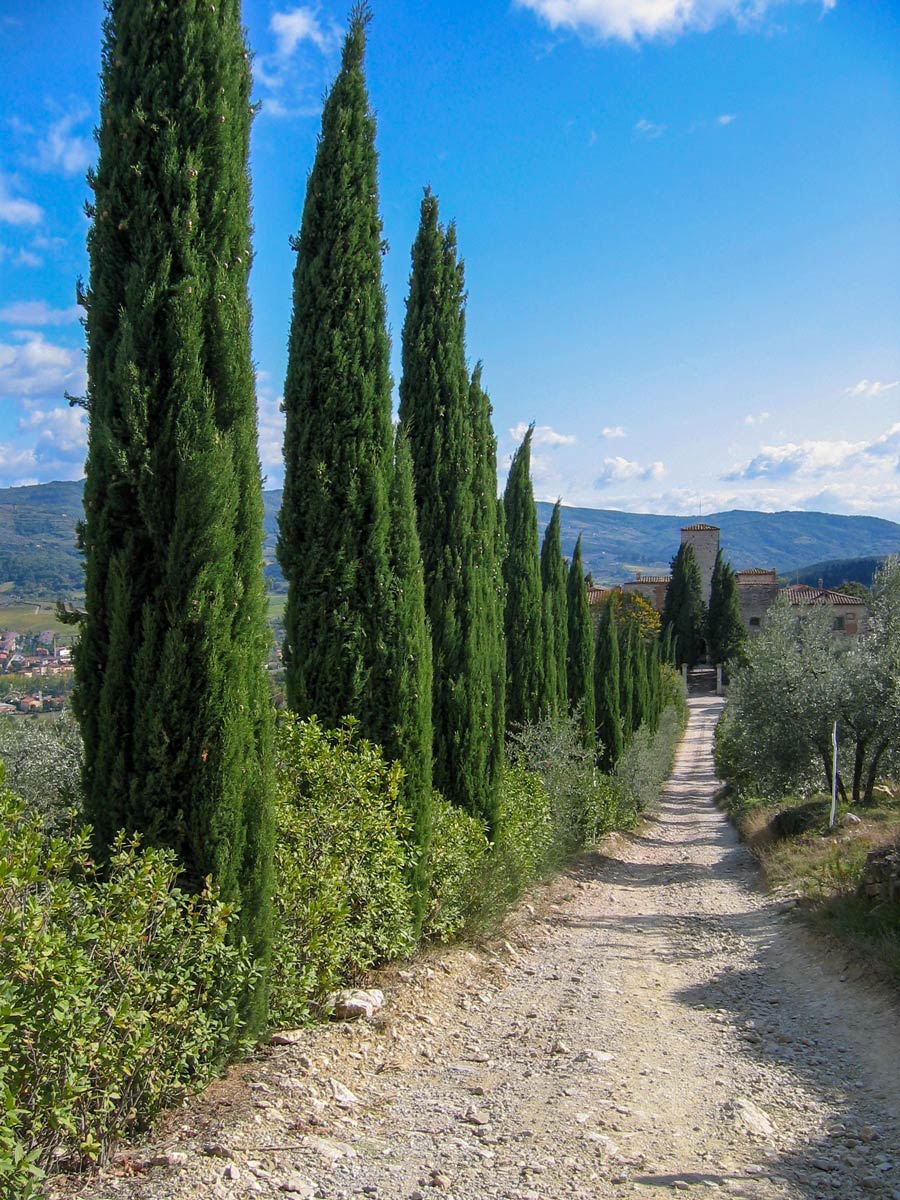 Walking path of self guided Discover Cianti walk in Tuscany