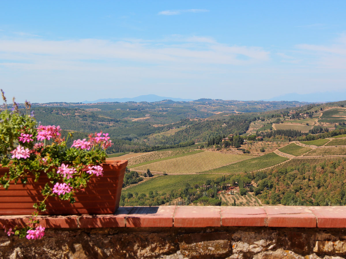 Panoramic view of the vineyards in Chianti