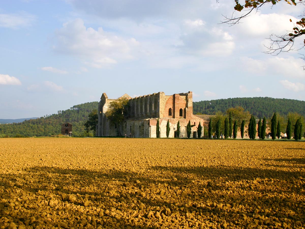 Autumn colors in Val dOrcia Tuscany seen on self guided bike ride