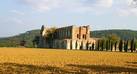 Val d'Orcia biking short