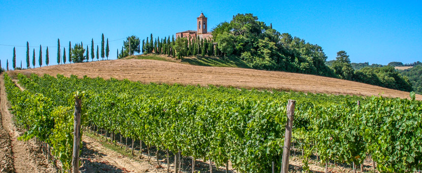 Val d'Orcia biking short