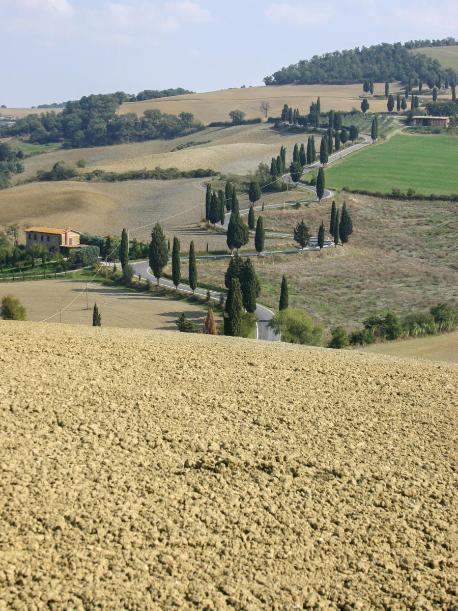 Autumn views of Tuscany seen on self guided walk from Montepulciano t