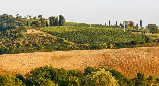 Val d'Orcia walking tour