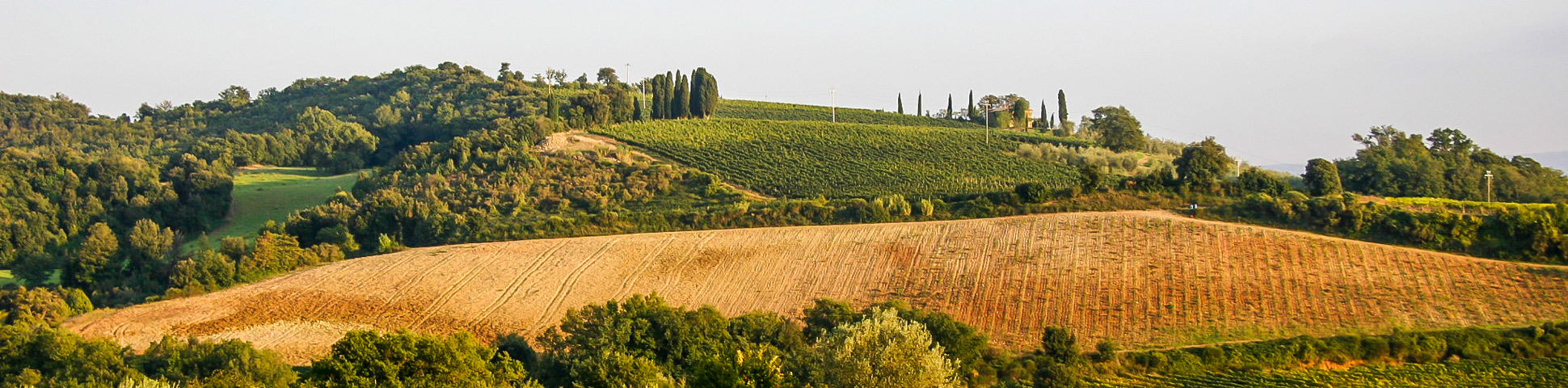 Val d'Orcia walking tour