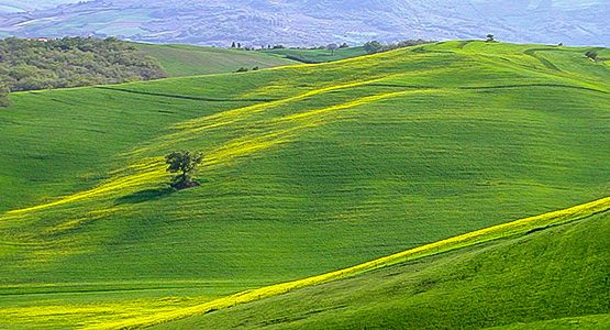 Val d'Orcia walking tour