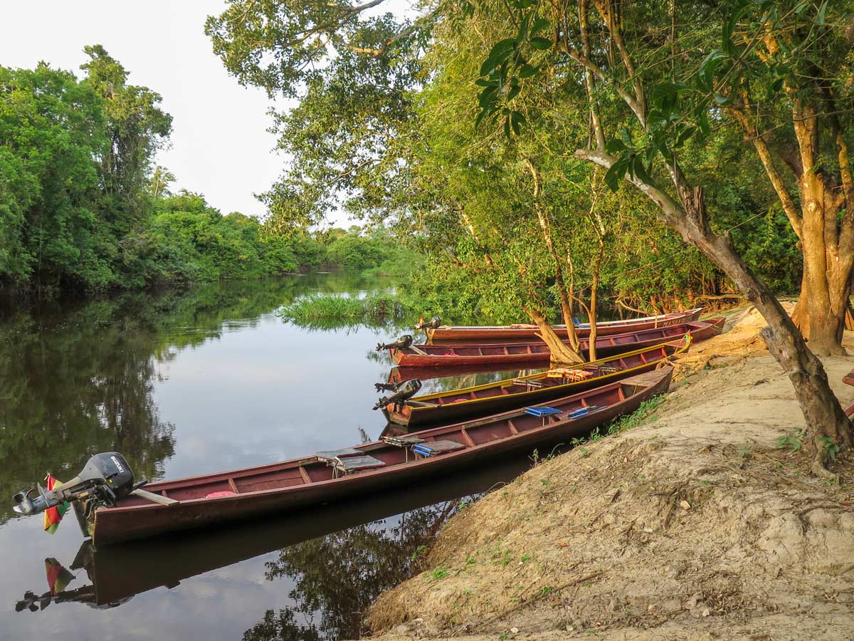 Boats in Yacuma River Bolivia