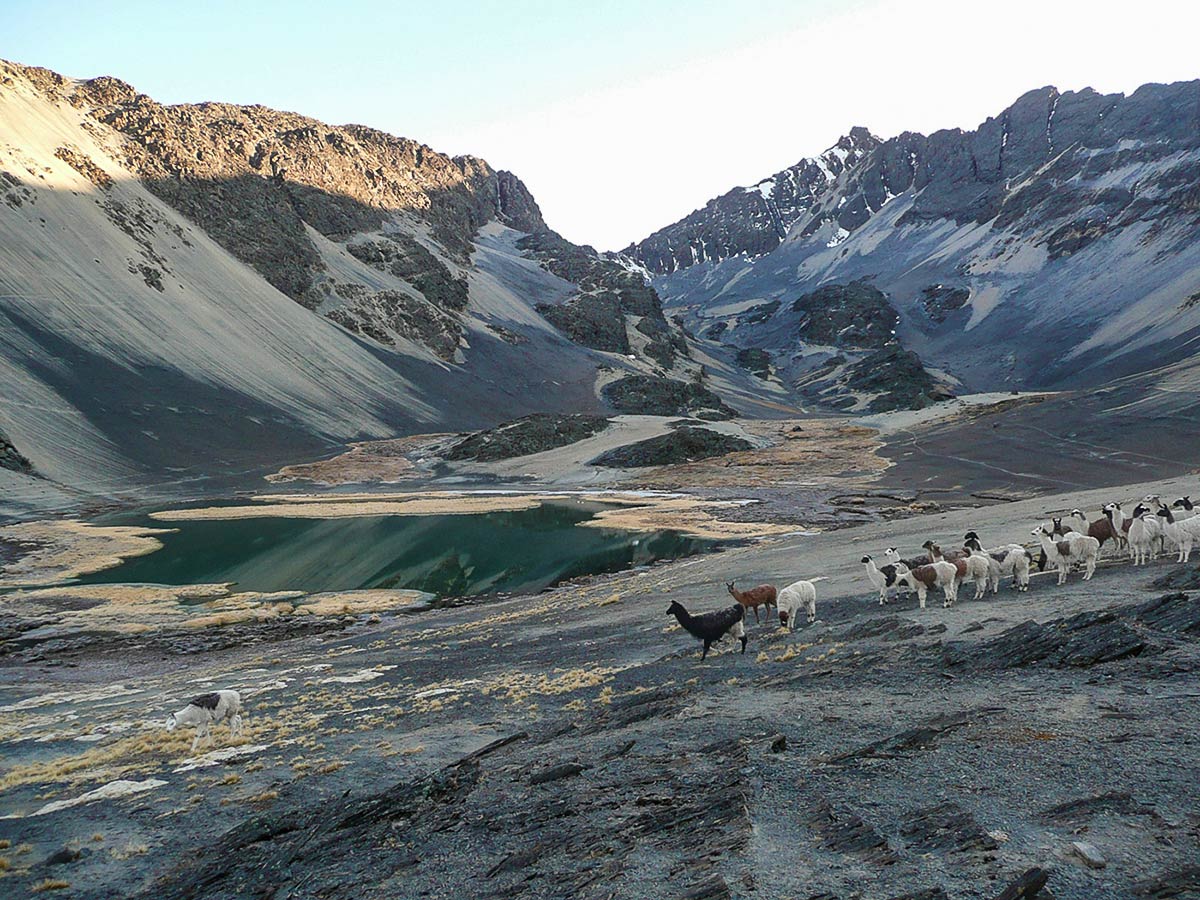 Cordillera Real Trek in Bolivia is a wonderful tour with some amazing views