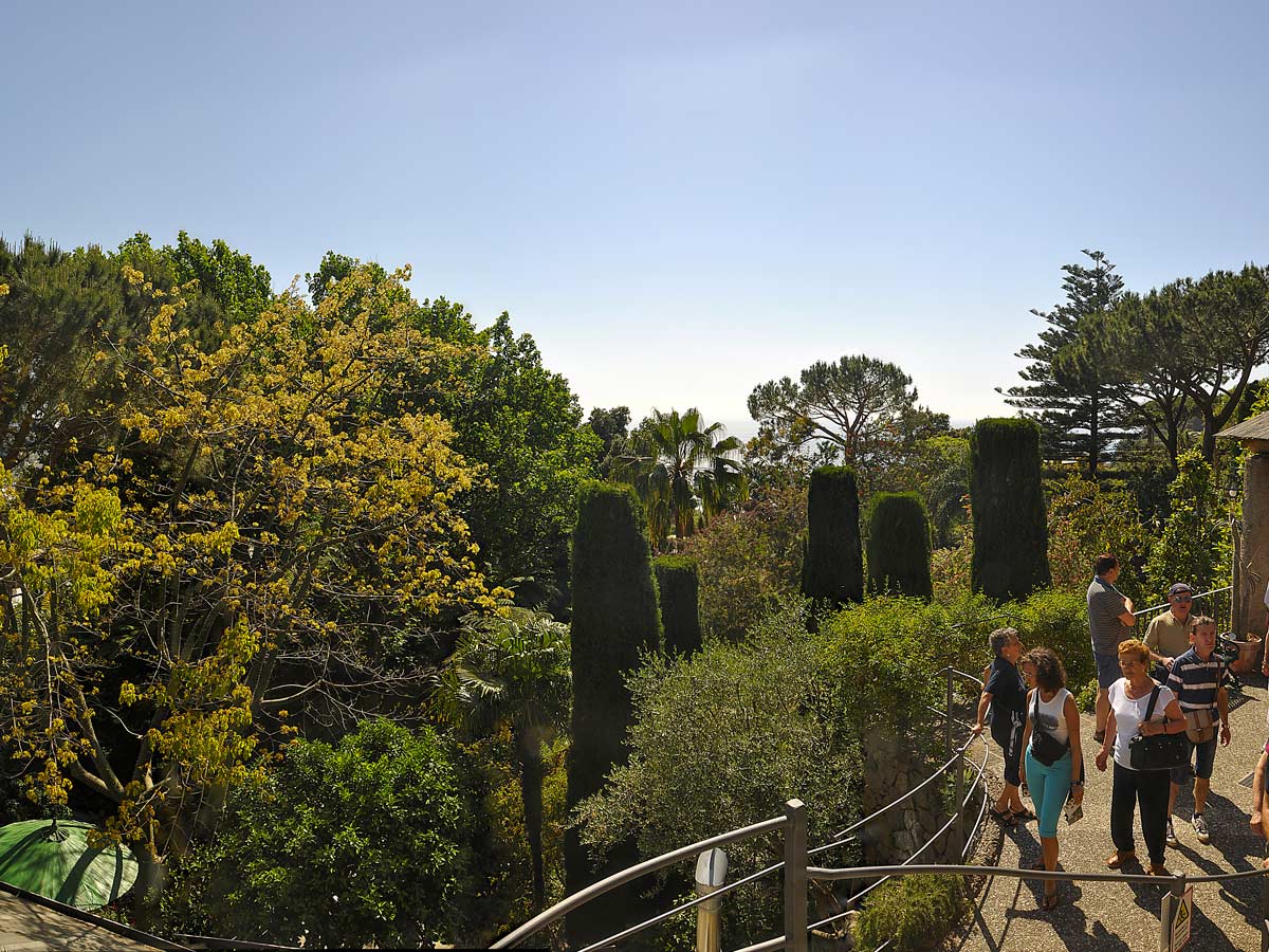 Panorama seen on Ischia Family Tour in Italy