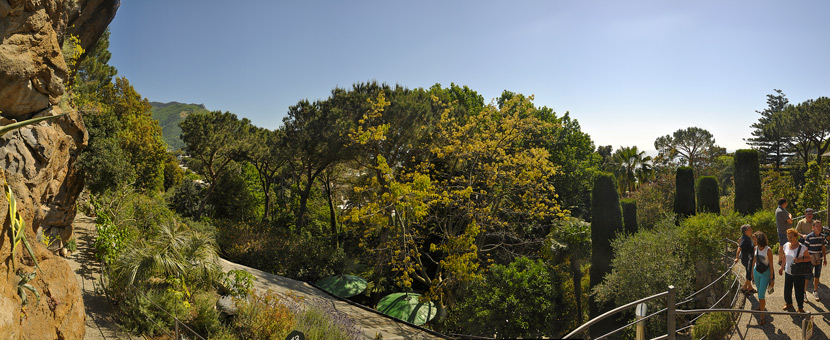 Ischia Family Tour