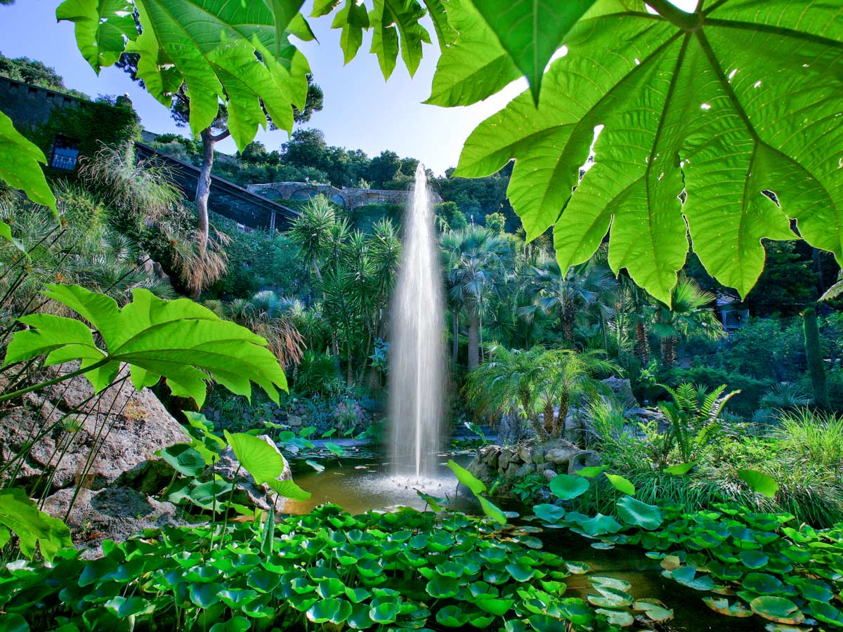 Campania Walking Tour in Italy includes visiting La Mortella Gardens