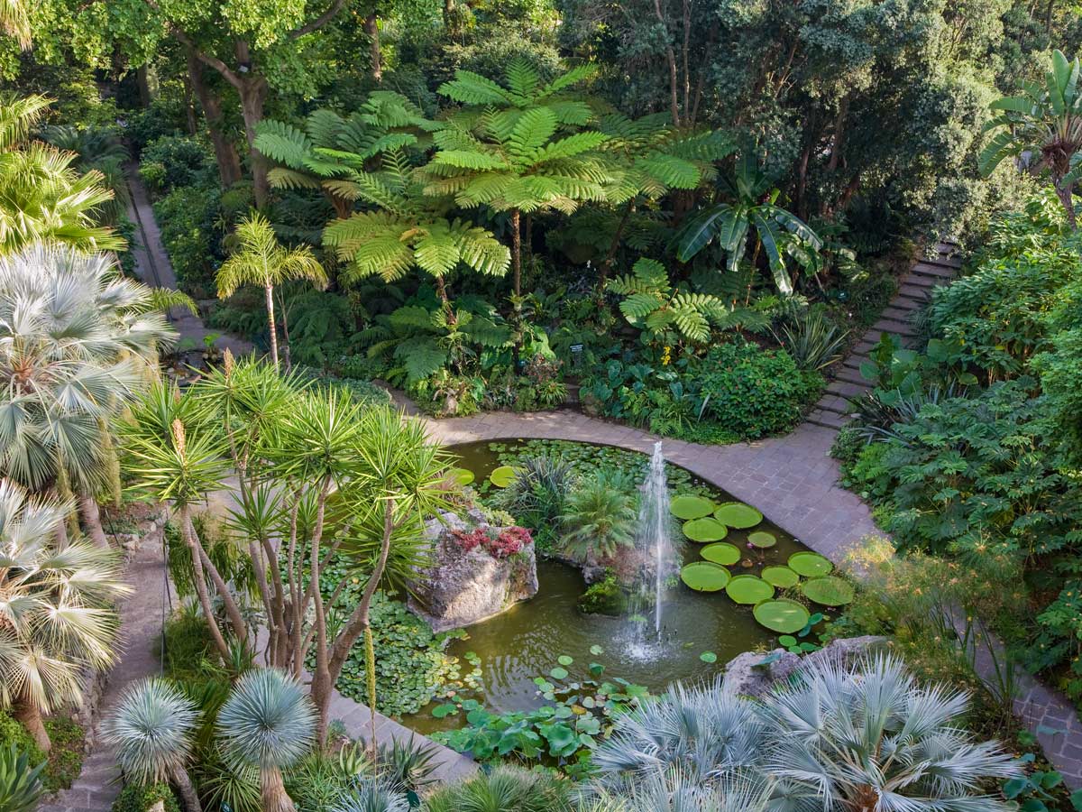 Visiting La Mortella Gardens is one of the highlights of Campania Walking Tour in Italy