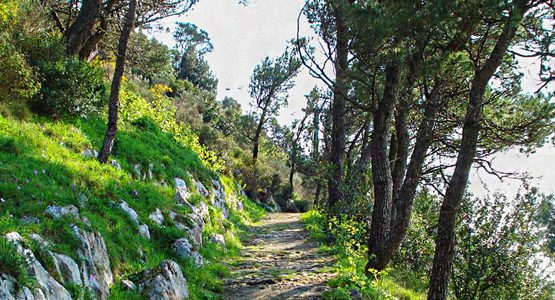 Campania Walking Tour