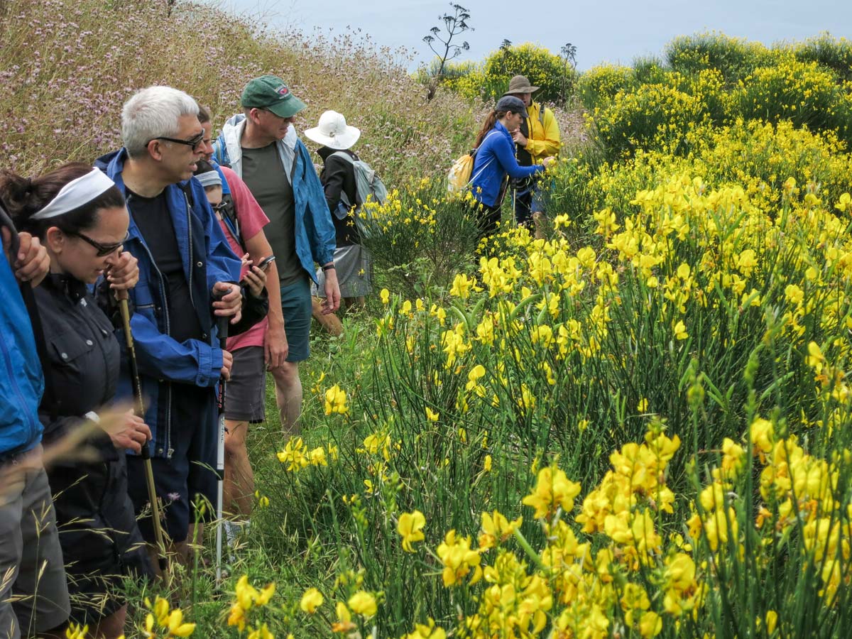 Hroup of hikers in Ischia while on Campania Peaks and Coast walking tour