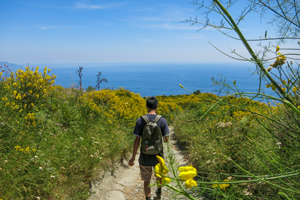 Exploring the peninsula