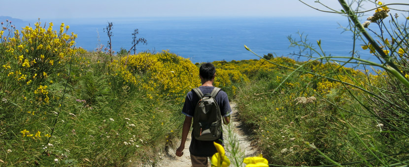 Amalfi & Ischia Walking Tour